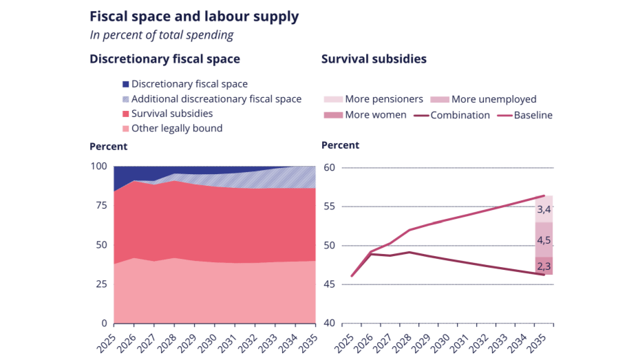 Fiscal space and labour supply